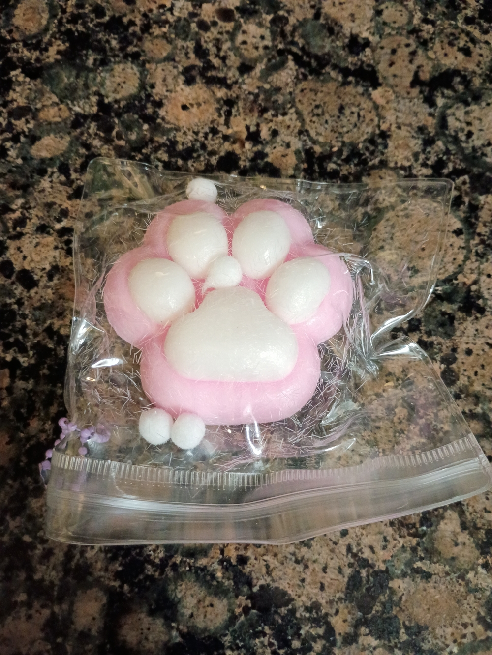 Paw Design Taba Squishy